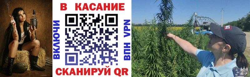 Как найти наркотики Балаково Каннабис  Мефедрон  Псилоцибиновые грибы  ГАШ 