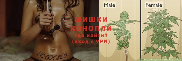 кокс Кинешма