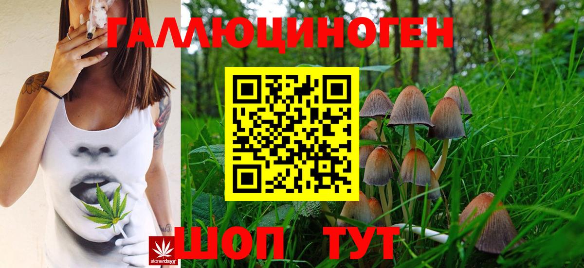 Псилоцибиновые грибы MAGIC MUSHROOMS  Балаково  Псилоцибиновые грибы Magic Shrooms 