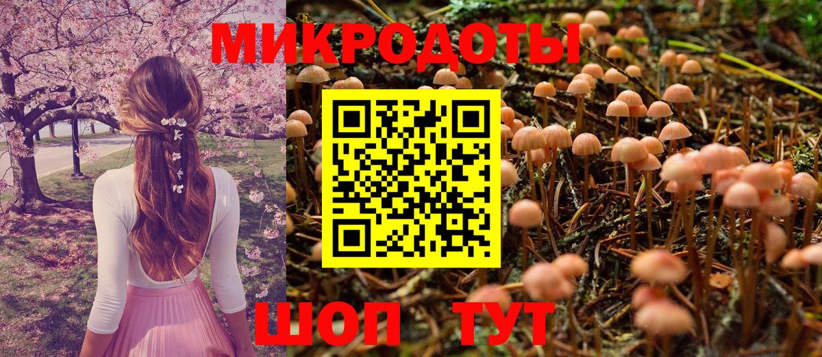 Псилоцибиновые грибы MAGIC MUSHROOMS  Вход с VPN  Балаково 