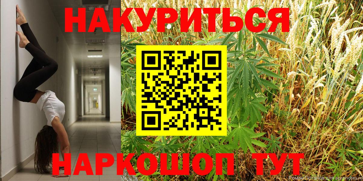 Конопля гибрид Балаково